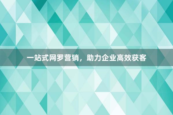 一站式网罗营销，助力企业高效获客