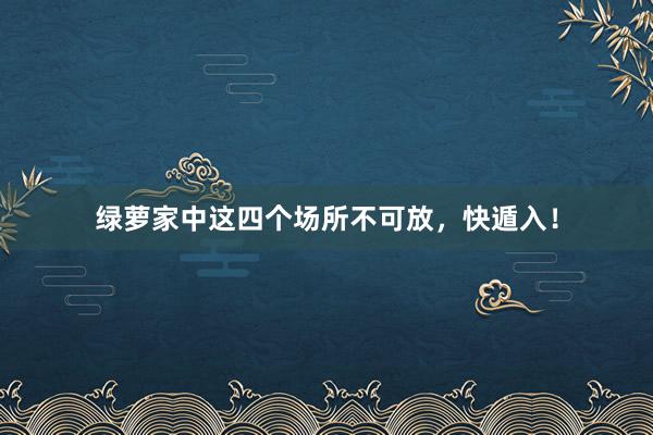 绿萝家中这四个场所不可放，快遁入！