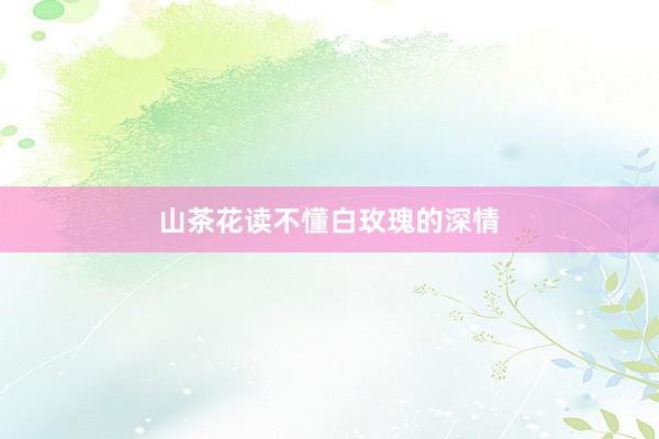 山茶花读不懂白玫瑰的深情