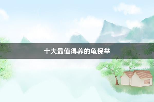 十大最值得养的龟保举