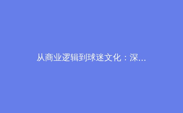 从商业逻辑到球迷文化：深度解析中国职业体育联赛的转型阵痛与机遇 - 4